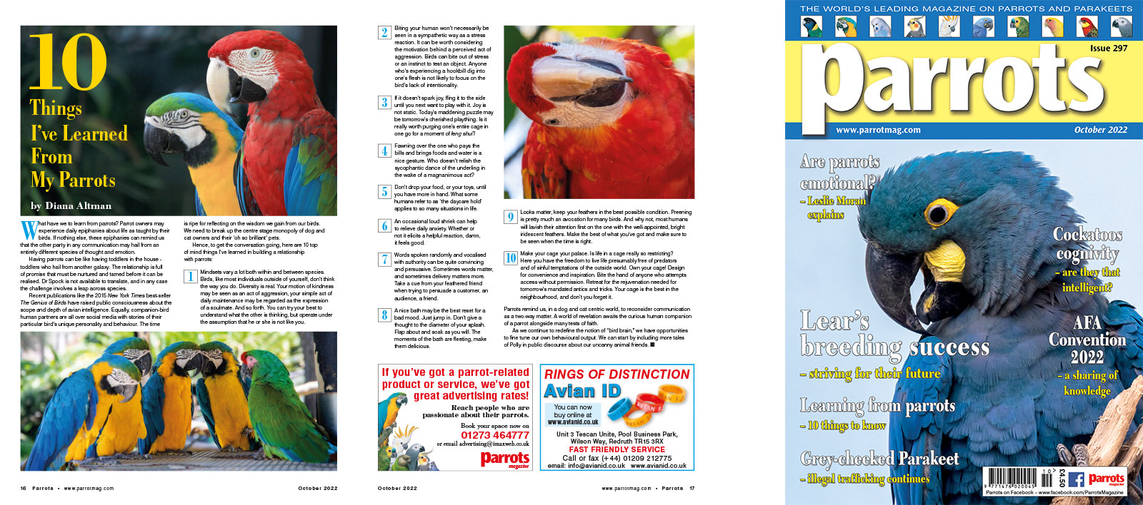 Spreads for web Parrots 278 4