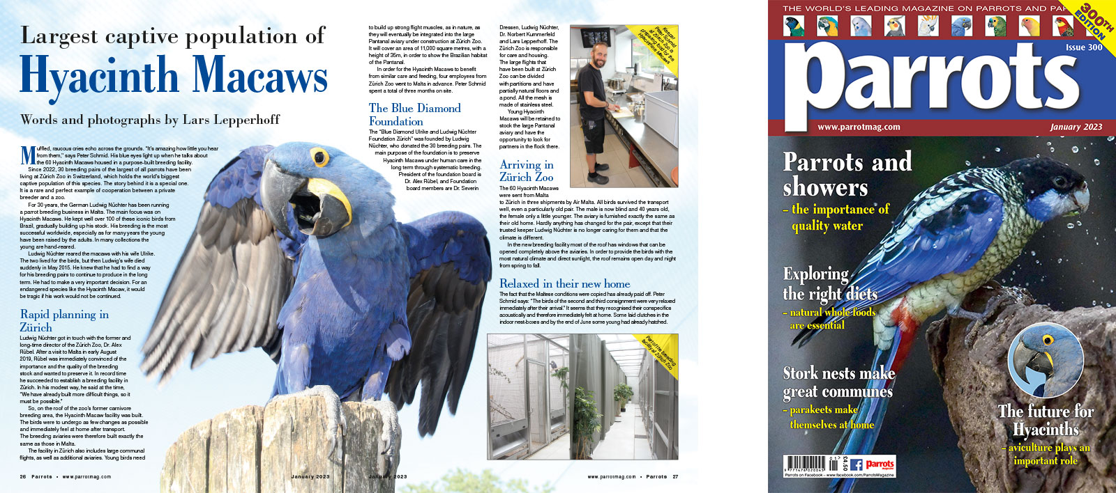 Spreads for web Parrots 278 4