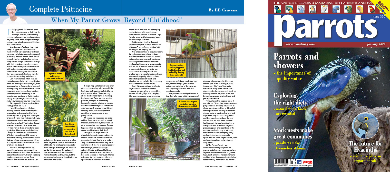 Spreads for web Parrots 278 4