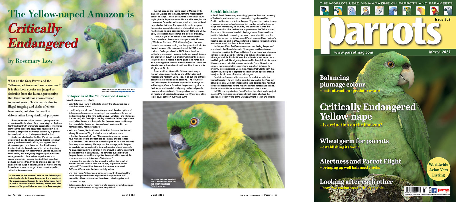 Spreads for web Parrots 278 4