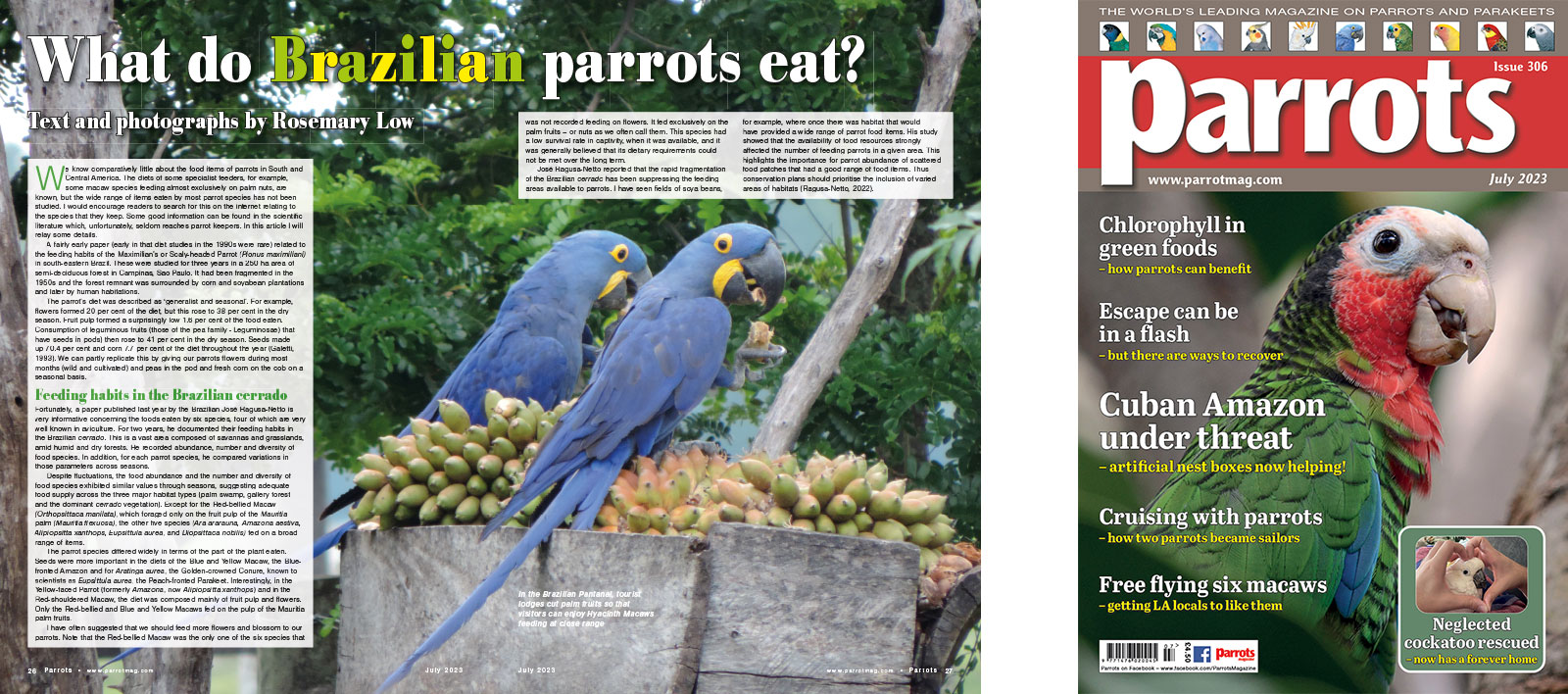 Spreads for web Parrots 278 4