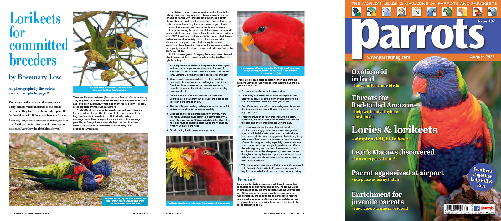 Spreads for web Parrots 278 4