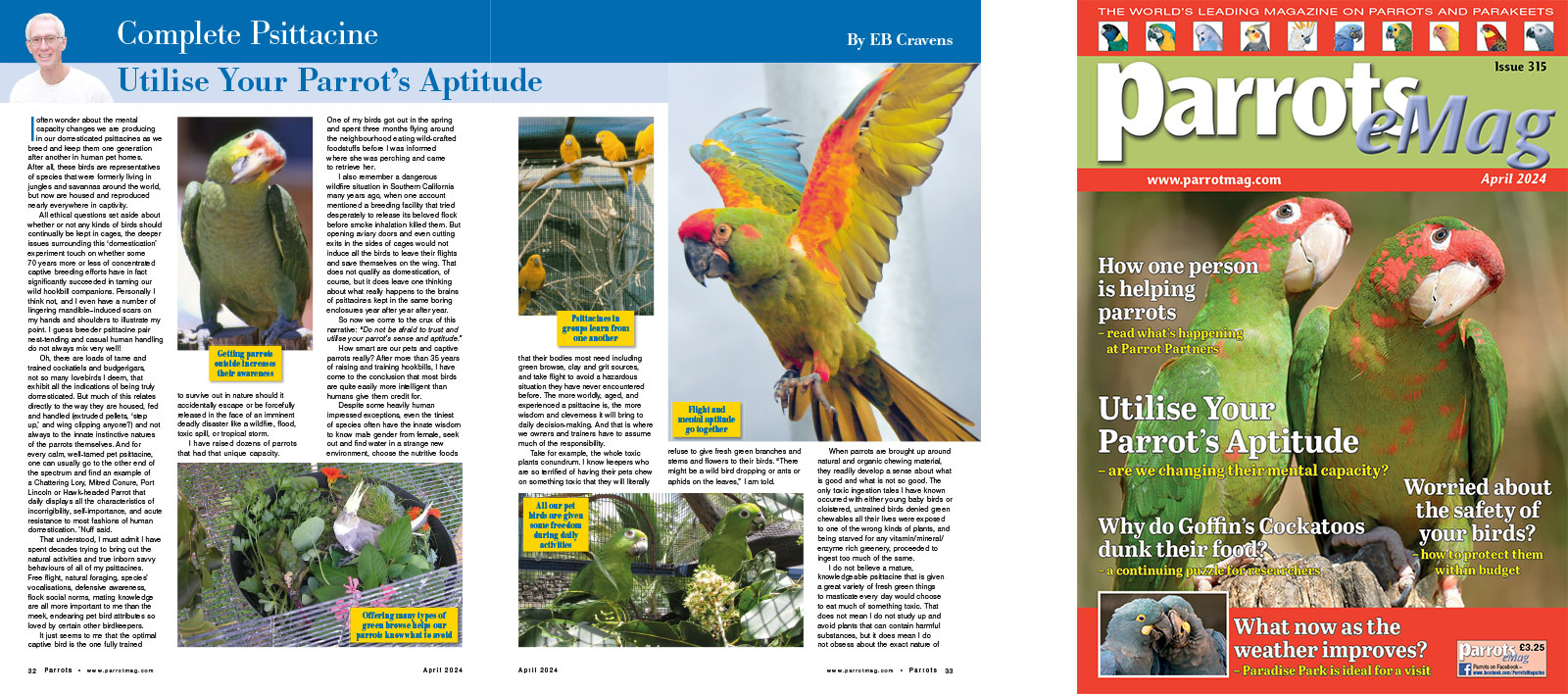 Spreads for web Parrots 278 4