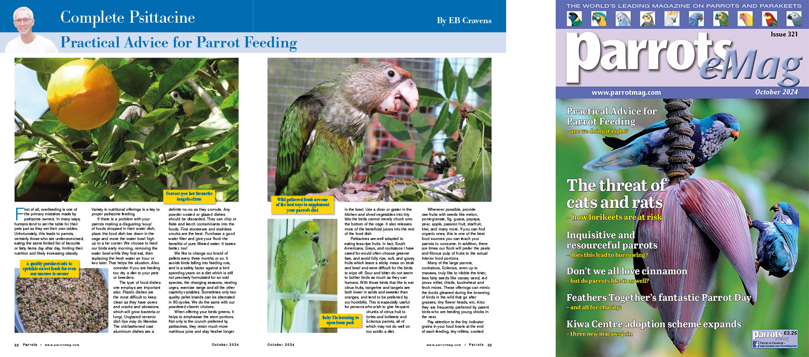 Spreads for web Parrots 278 4