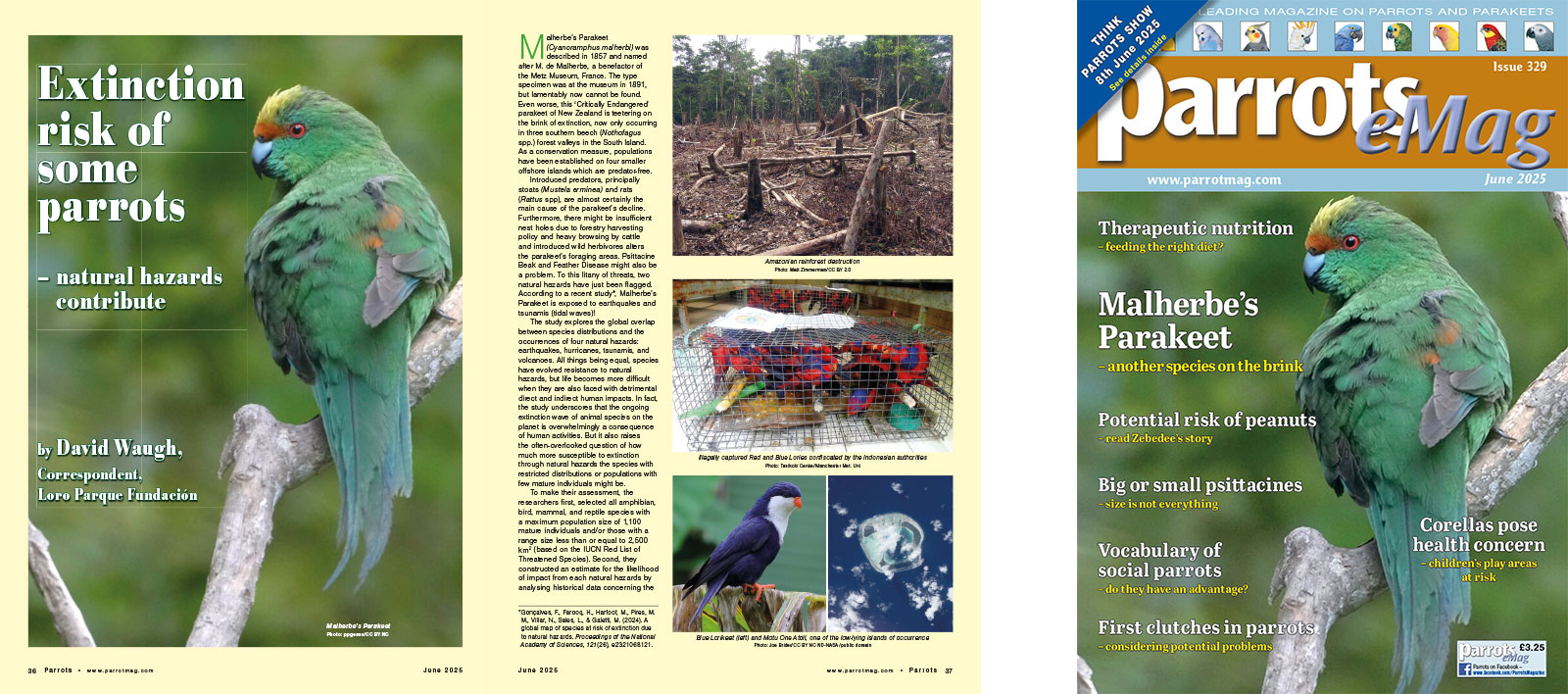 Spreads for web Parrots 278 4