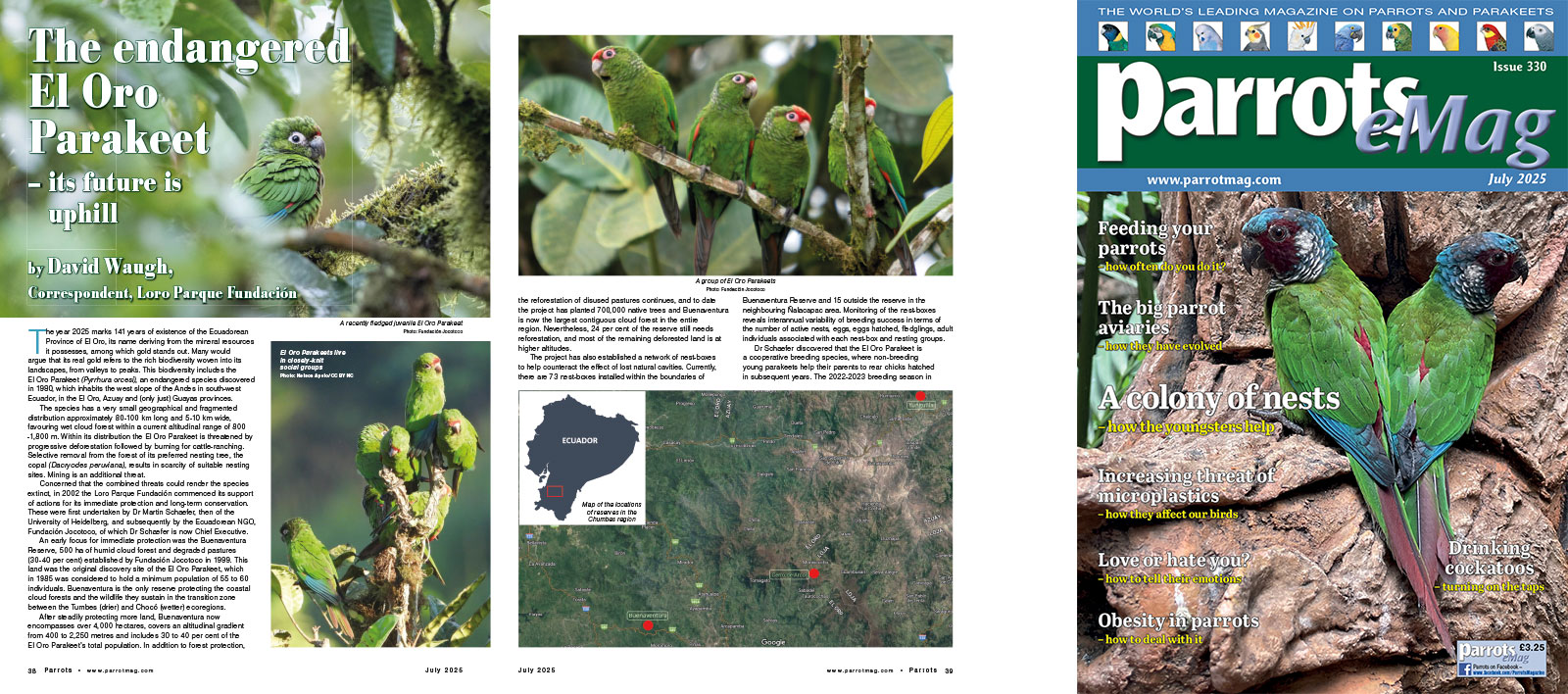Spreads for web Parrots 278 4