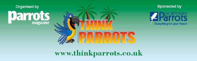 ThinkParrotsHeader