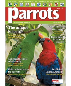 331_parrots_cover_500px