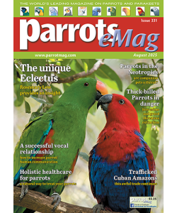 331_parrots_emagcover_500px