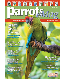 332_parrots_emagcover500px_1862979920