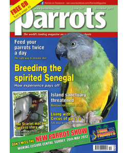 Parrots magazine, Issue 167