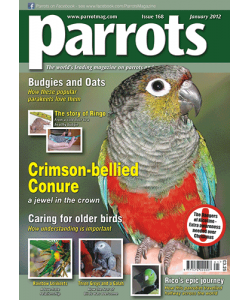Parrots magazine, Issue 168
