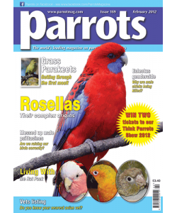 Parrots magazine, Issue 169