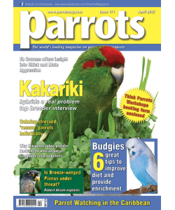 Parrots magazine, Issue 171