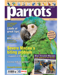 Parrots magazine, Issue 173