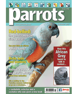 Parrots magazine, Issue 176