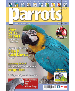Parrots magazine, Issue 180