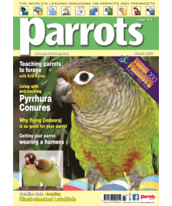 Parrots magazine, Issue 182