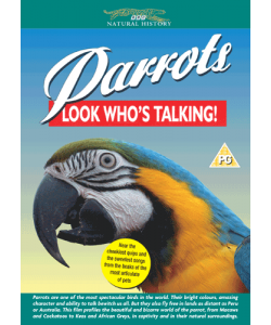 Parrots   Look W 4a439a603d1b9