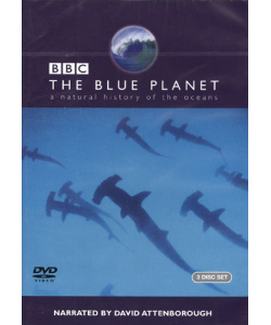 The Blue Planet  4a1572d10213a