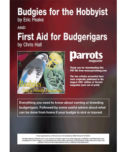 Budgies for the Hobbyist