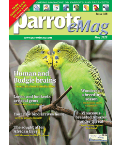 cover-328_34593188