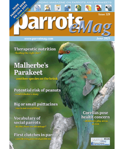 cover-329_1843297953