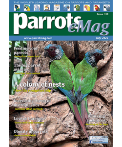 cover-330