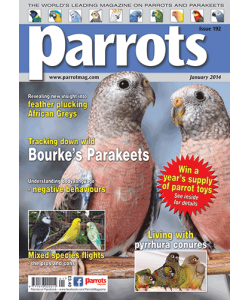 Parrots magazine, Issue 192