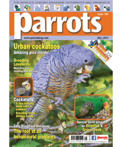 Parrots magazine, Issue 196, May 2014