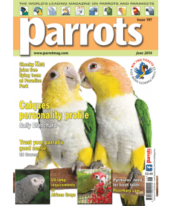 Parrots magazine, Issue 197, June 2014