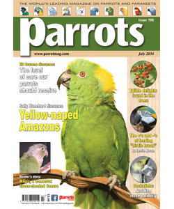 Parrots magazine, Issue 198, July 2014