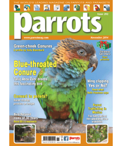 Parrots magazine, Issue 202, November 2014