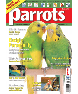 Parrots December 2014