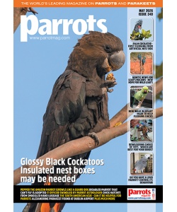 cover_parrots_mag_340_vw_500px