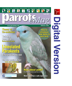 Parrots magazine eMag 205 February 2015