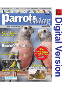 Parrots magazine eMag 192