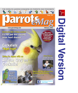 Parrots magazine eMag 193