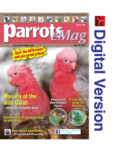 Parrots magazine eMag 194