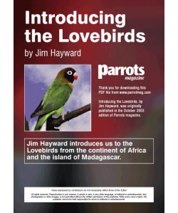 Parrots magazine, Introducing the Lovebirds