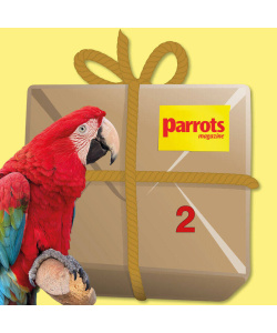 macawbundle2