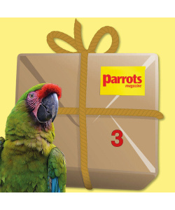 macawbundle3