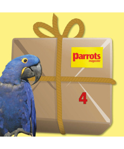 macawbundle4