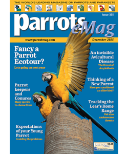 parrots_emag_335_vw_cover_500px