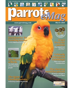 parrots_emag_338_cover_500px
