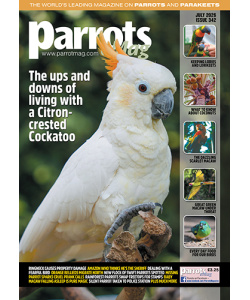 parrots_emag_342_vw_cover_500