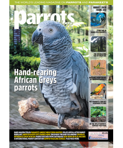 Parrots magazine, Issue 343 August 2026