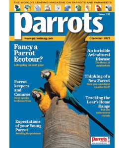parrots_mag_335_vw_coverx500