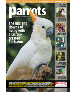 parrots_mag_342_vw_cover_500