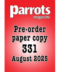 pre-order-331